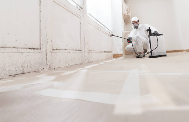 Black mold remediation team in Amissville